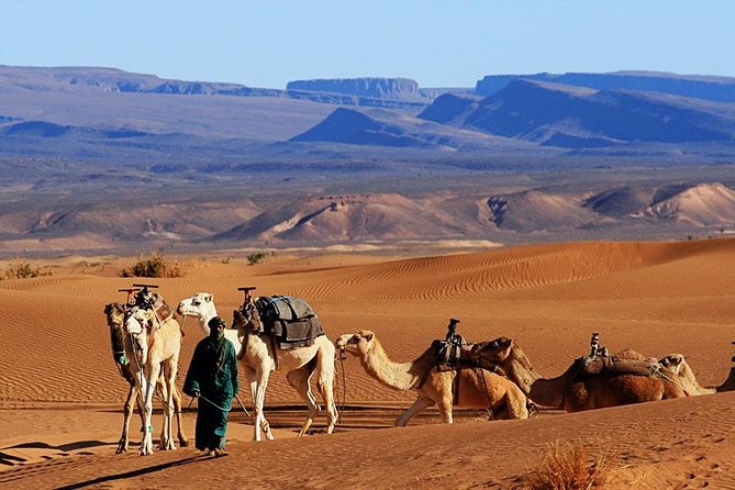 2 Days Tour From Marrakech, Zagora Desert Camp - Pickup and Departure