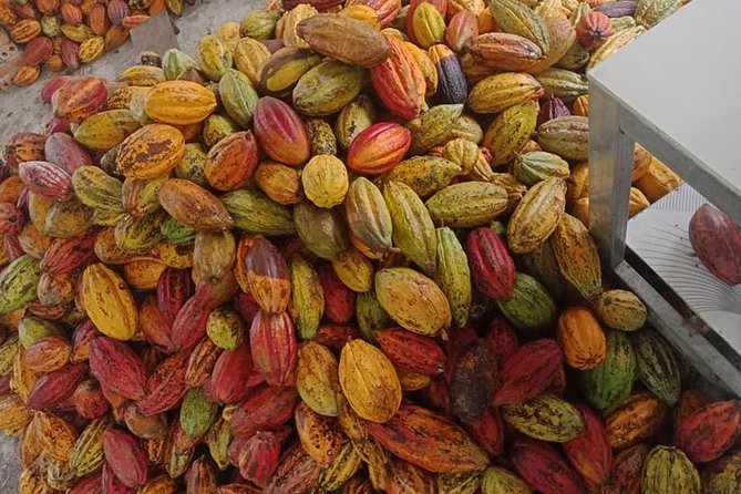 2 Days Tour in Can Tho With Boat Trip and Cooking Class - Pricing and Packages