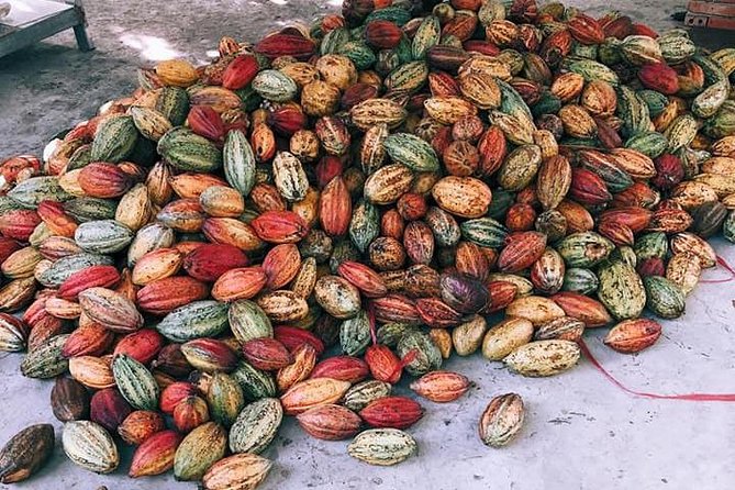 2 Days Tour in Can Tho With Boat Trip and Cooking Class - Common Questions