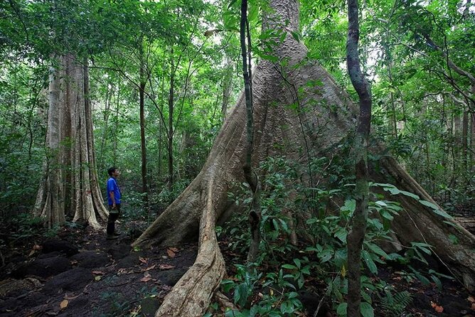 2 Days Tour in Cat Tien National Park - Itinerary Overview