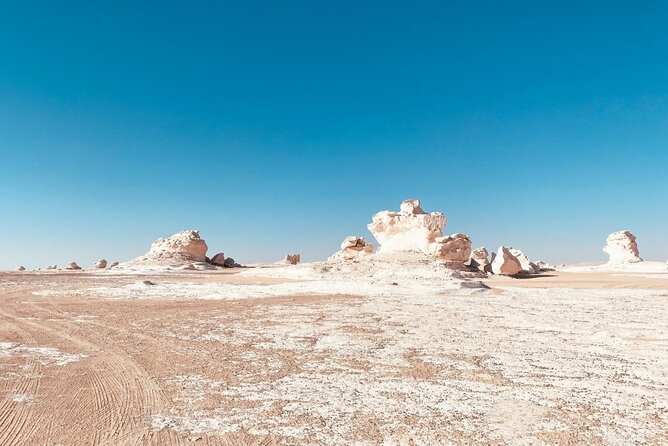 2-Days Tour of the Unique White Desert From Cairo - Tour Highlights and Positive Experiences