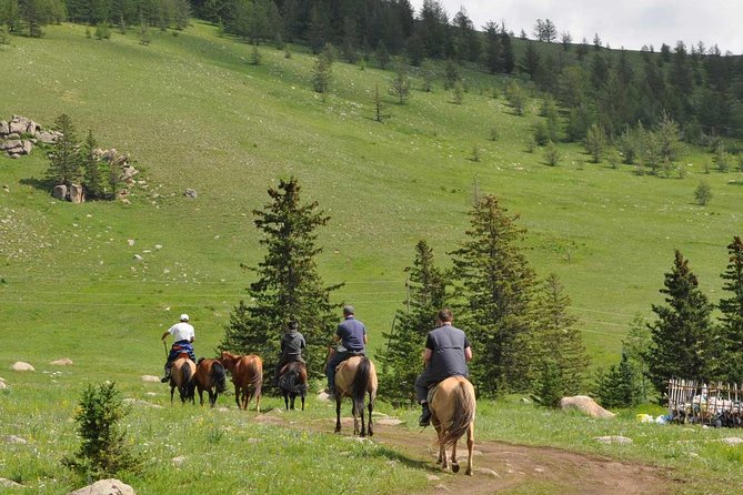 2 Days Tour: Terelj National Park And Chinggis Statue - Inclusions