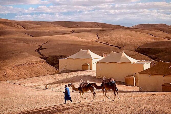 2 Days Tour to Agafay Desert & Marrakech From Agadir - Day 2: Marrakech City Tour
