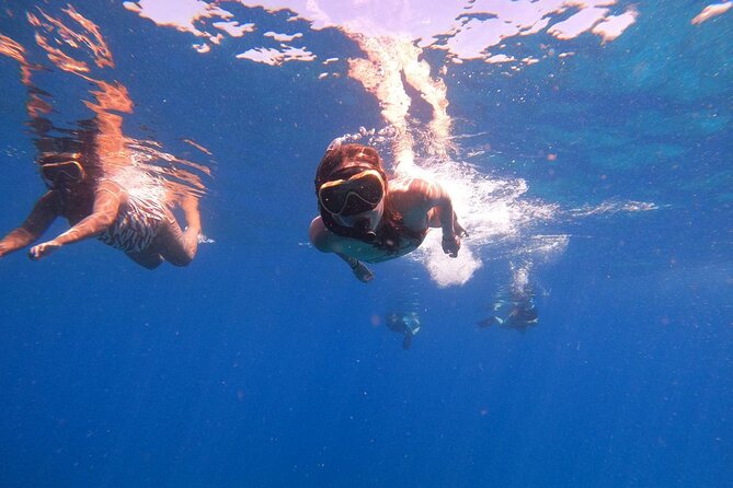 2 Days Tour to Explore Labuan Bajo and Komodo Island - Good To Know