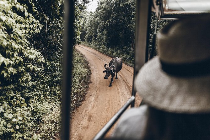 2 Days Tour to Galle & Yala National Park From Colombo - Price and Payment Information