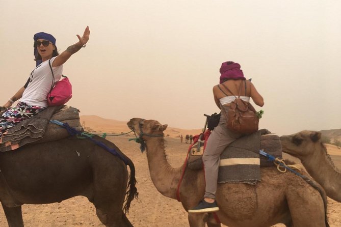 2 Days Tour to Zagora & Daraa Valley, Night in the Tent. - Highlights of Ait Benhaddou