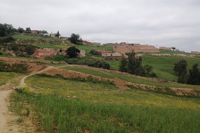 2 Days Trek in The High Atlas Mountain - Day 2: High Atlas to Marrakech