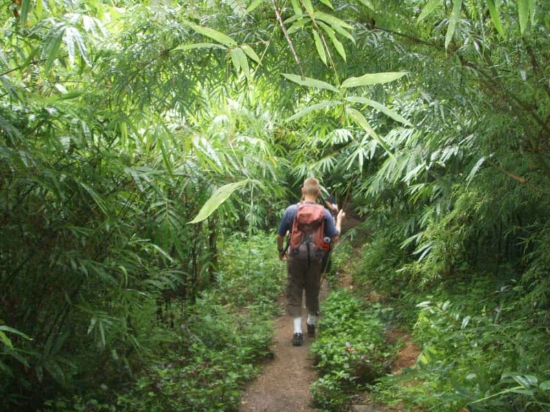 2 Days Trek Sanpatong - Exploring the Itinerary: What Makes This Tour Special