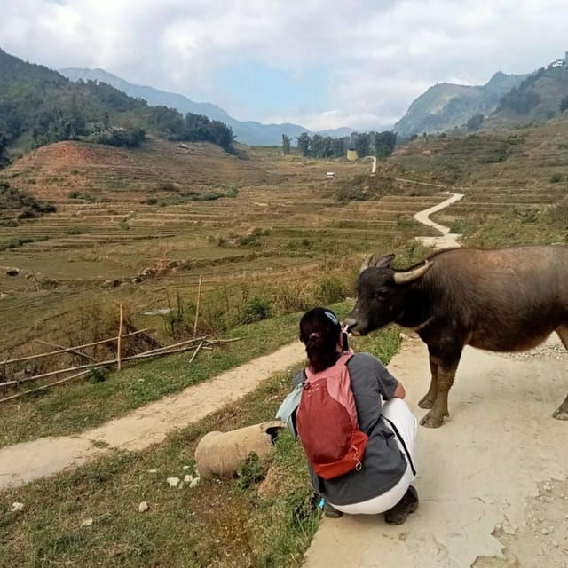 2-Days Trekking With Ethnic Minority Homestay - Highlights of the Trek