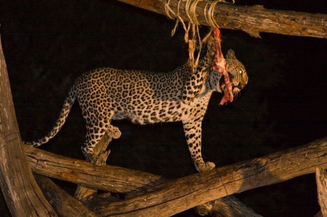 2 Days Tsavo West Safari From Diani Beach (Cost Based on Minimum 2 Persons) - Good To Know