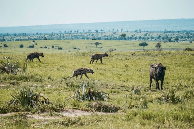 2 Days Tsavo West Safari From Diani Beach (Cost Based on Minimum 2 Persons) - Inclusions and Exclusions