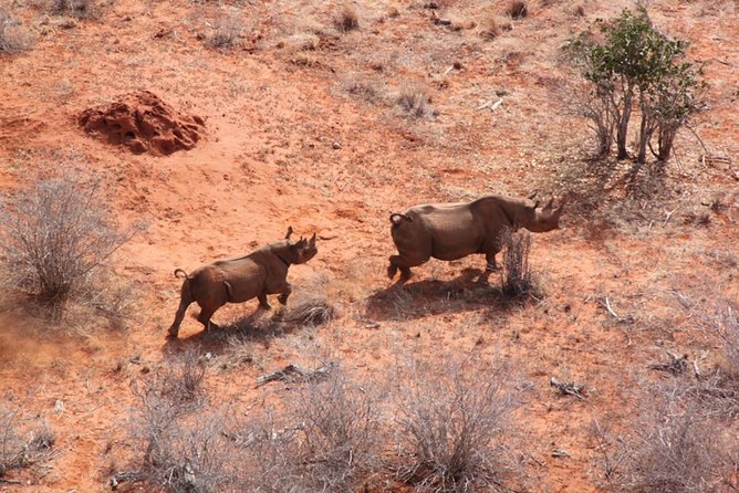 2 Days Tsavo West Safari From Diani Beach (Cost Based on Minimum 2 Persons) - Booking Process