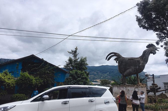 2 Days VIP Special Tour - Exploring Dalat City, Countryside and Waterfalls - Good To Know