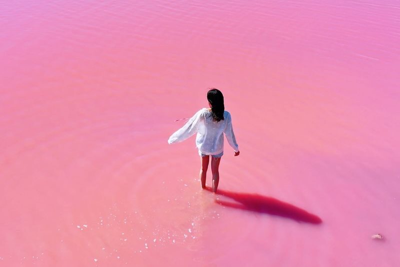 2 Days Western Australia Pink Lake Tour - At a glance: what makes this tour worthwhile