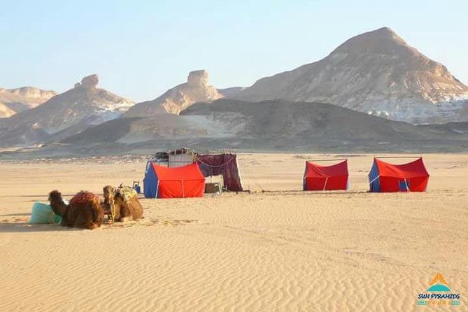 2 Days White Desert and Bahariya Oasis Tour - Accessibility and Group Details