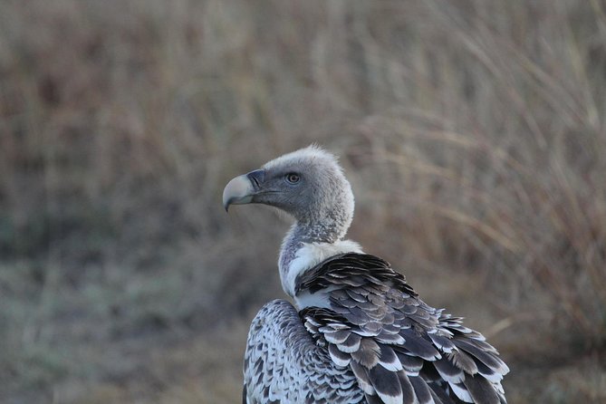 2 Days Wildlife Game Drives Through Tarangire and Ngorongoro Crater - Accommodation Details