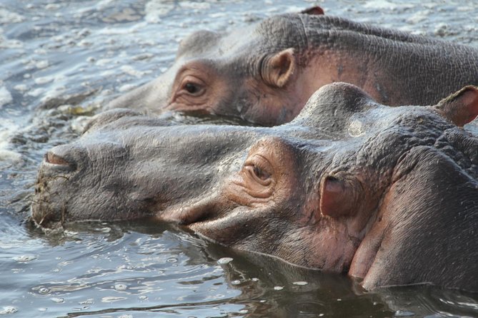 2 Days Wildlife Game Drives Through Tarangire and Ngorongoro Crater - Frequently Asked Questions