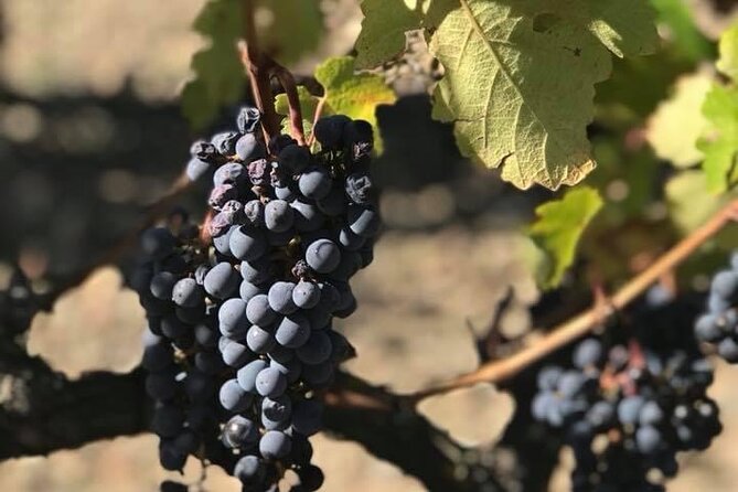 2 Days Wine Tasting Private Tour - Questions and Additional Information