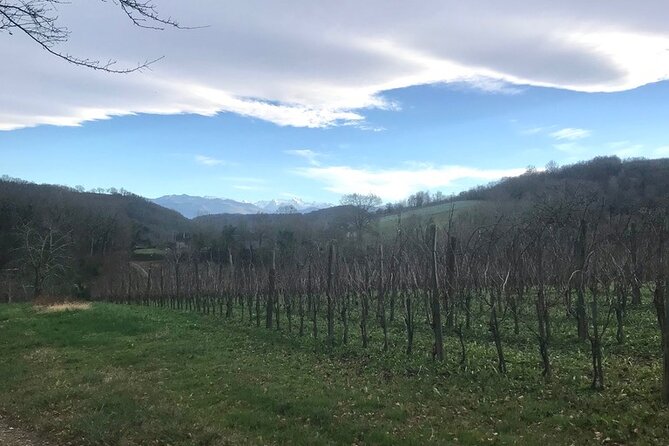 2 Days Wine Tasting Private Tour - Common Questions