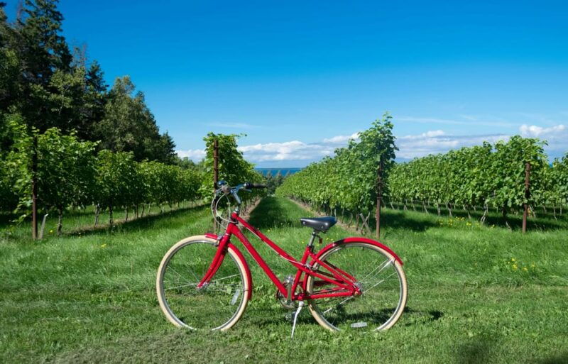 2 Days Winery Tour: 3 Wine Tastings, Local Hotel, 3 Meals - An In-Depth Look at the 2-Day Winery Tour