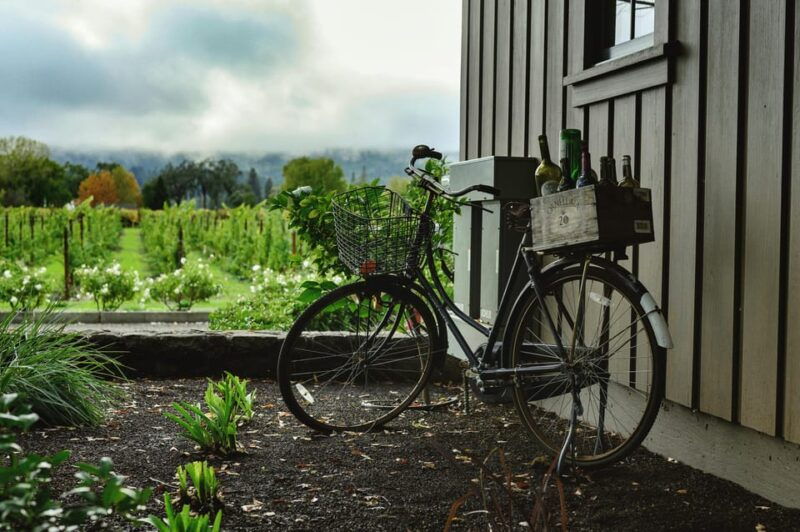 2 Days Winery Tour: 3 Wine Tastings, Local Hotel, 3 Meals - Experience the Flavors of Romanian Cuisine