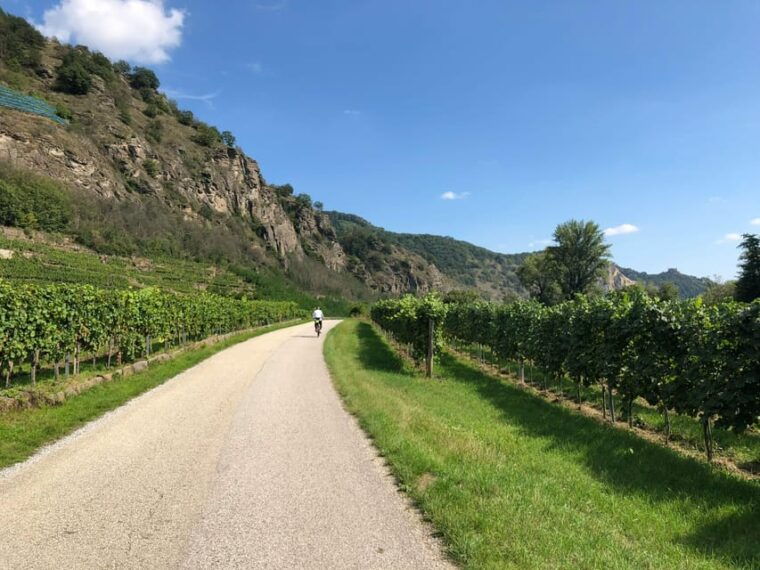 2 Days Winery Tour: 3 Wine Tastings, Local Hotel, 3 Meals - Practical Details and Tips