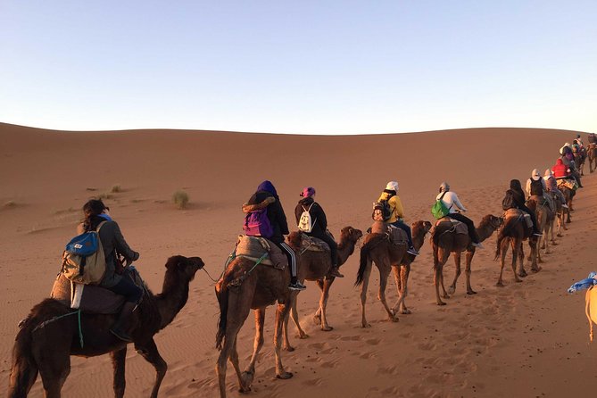 2 Days Zagora Desert Eperience From Marrakech - Good To Know