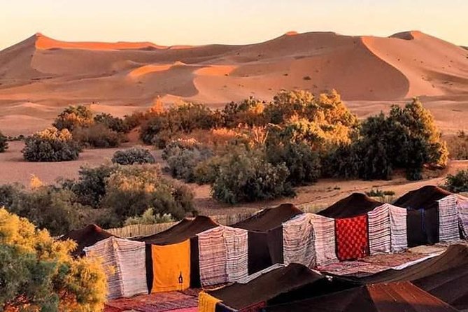 2 Days Zagoura Desert Trip From Marrakech - Camel Trek - Berber Tent - Important Information