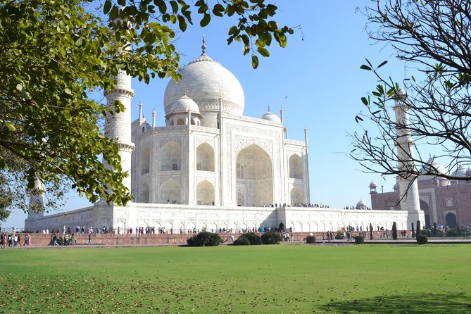 2 Days:Delhi and Agra With Taj Mahal Sunrise Tour - Operator Information