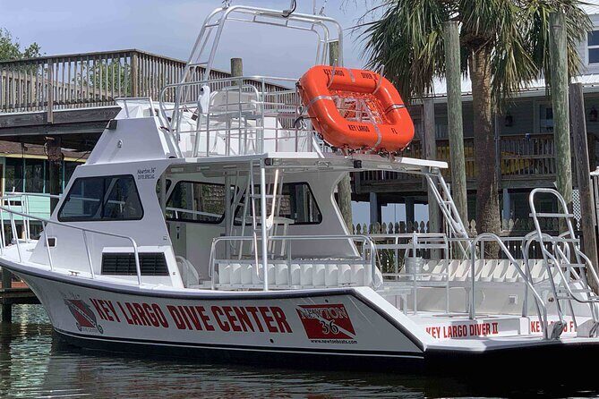 2 Dive Scuba Diving Reef Excursion to Key Largo Marine Sanctuary - Introduction: What’s to Love About This Reef Excursion?