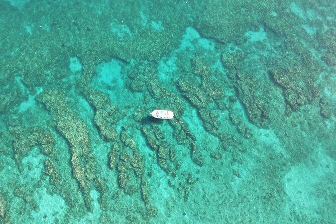 2 Dive Scuba Diving Reef Excursion to Key Largo Marine Sanctuary - Good To Know  