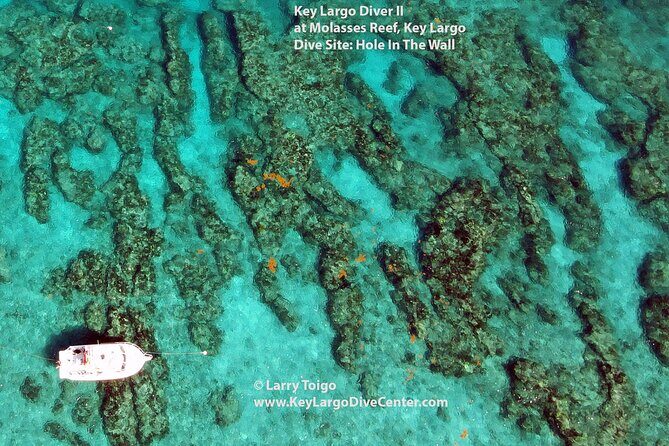 2 Dive Scuba Diving Reef Excursion to Key Largo Marine Sanctuary - FAQ