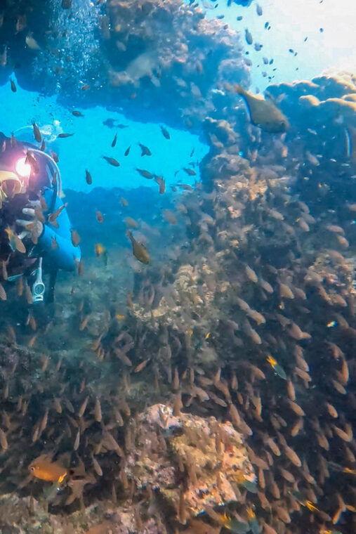 2 Dives at Stunning Beach Coral Reef in the Heart of Phuket - Highlights and Features
