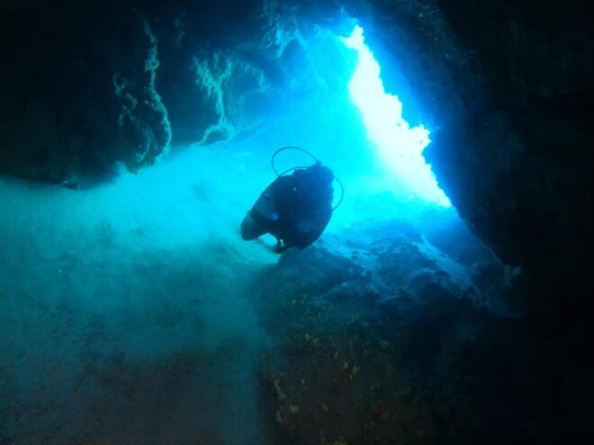 2 DIVES - Certified Divers - Included Equipment and Services