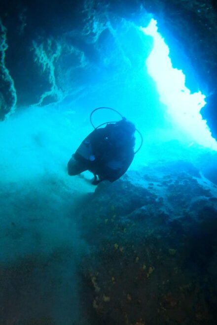 2 DIVES - Certified Divers - Language Support
