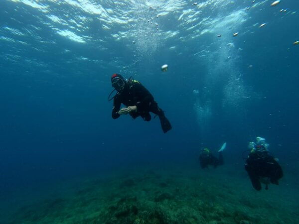 2 DIVES - Certified Divers - How to Check Availability