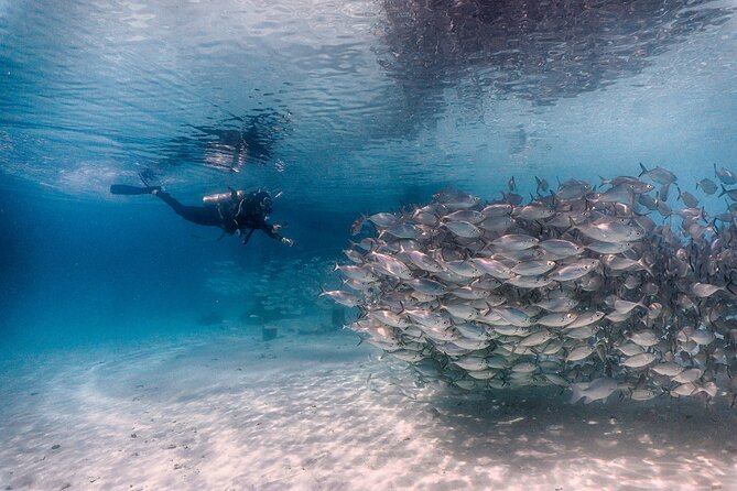 (2 Dives) Discover Scuba Diving Kota Kinabalu - Inclusions Provided