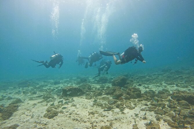 2 Dives for Certified Divers in Fujairah With Lunch & Transfer - Traveler Experience
