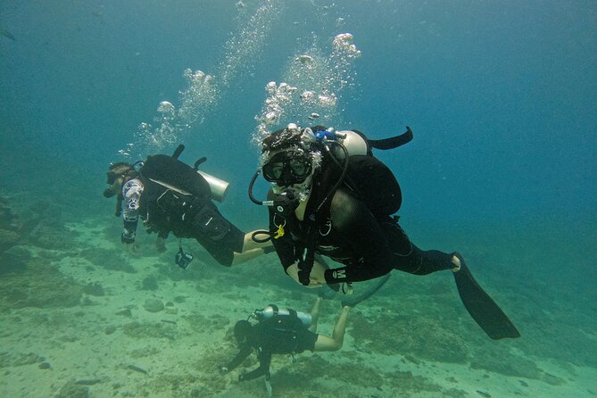 2 Dives for Certified Divers in Fujairah With Lunch & Transfer - Reviews