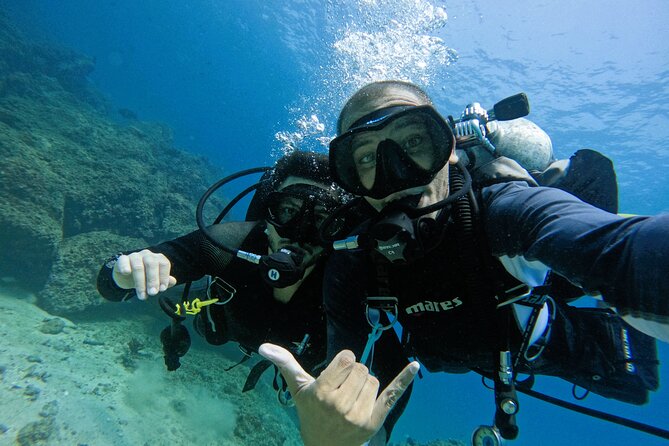 2 Dives for Certified Divers in Fujairah With Lunch & Transfer - Pricing
