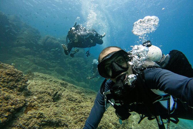2 Dives for Certified Divers in Fujairah With Lunch & Transfer - The Sum Up