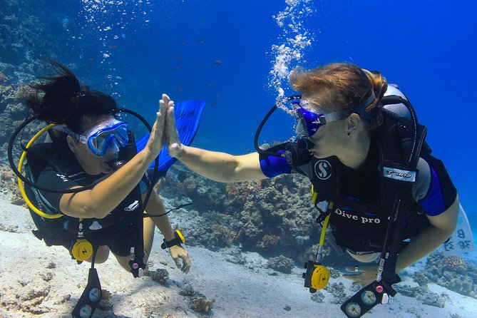 2 Dives From a Comfy Boat for Certified Divers - Overview of the Full-Day Scuba Diving Adventure