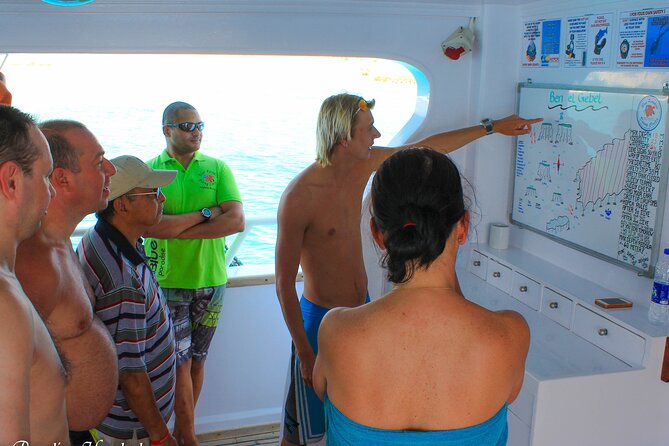2 Dives From a Comfy Boat for Certified Divers - Dive Spots Selected by PADI Guide