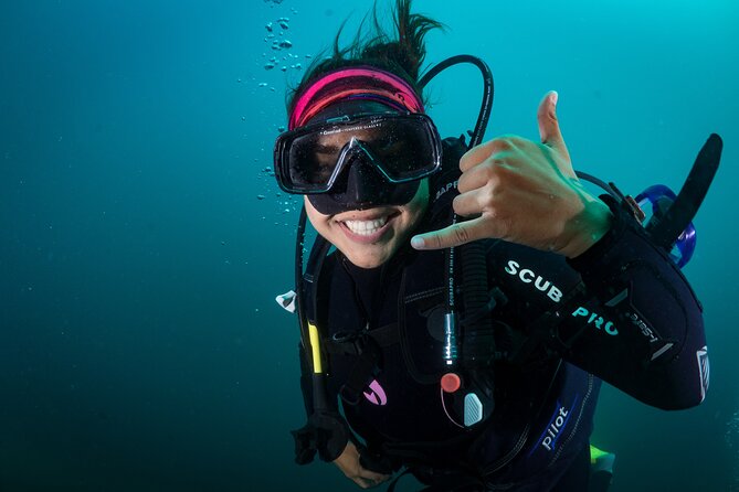 2 Dives in the Cabo Marine Park - Small Group Diving Experience