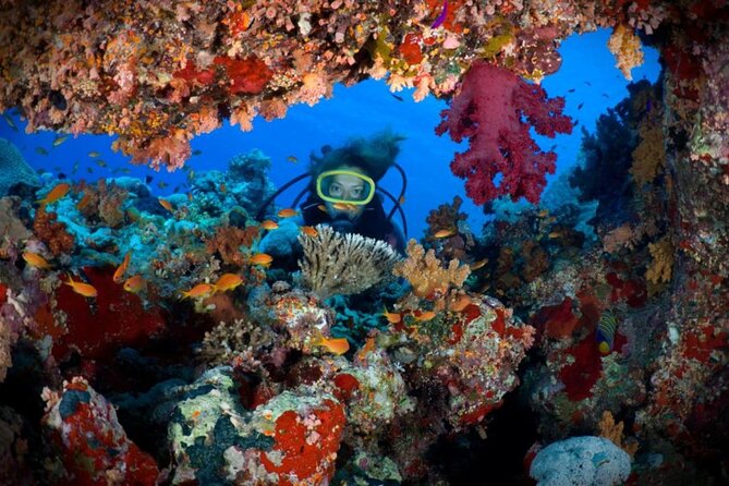 2 Diving Stops at the Most Beautiful Coral Reefs Hurghada - Tour Overview
