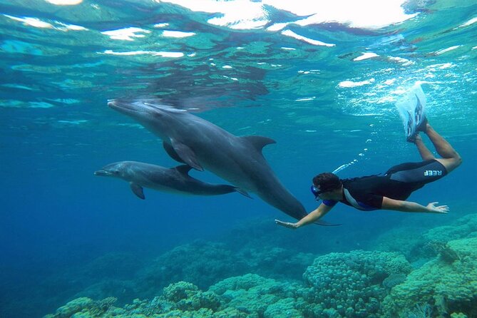 2 Diving Stops at the Most Beautiful Coral Reefs Hurghada - Coral Reef Exploration