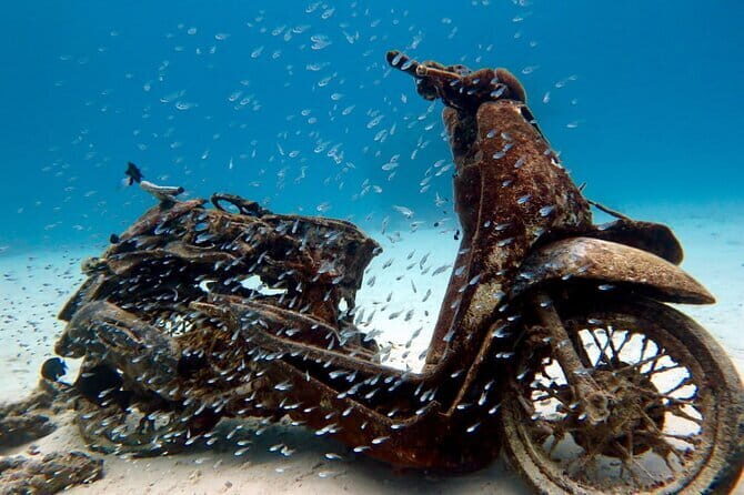 2 Fun Dives in Racha Yai or Noi for Certified Divers - In-Depth Review of the Racha Islands Dive Experience