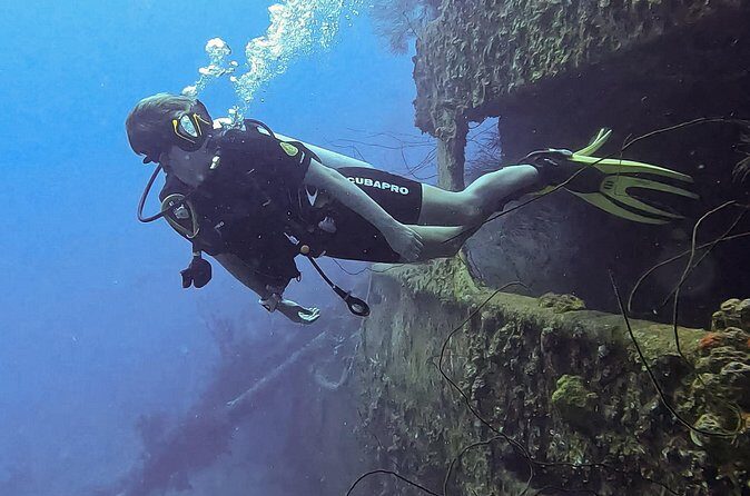 2 guided shore dives in Curacao - Who is This Tour Best For?