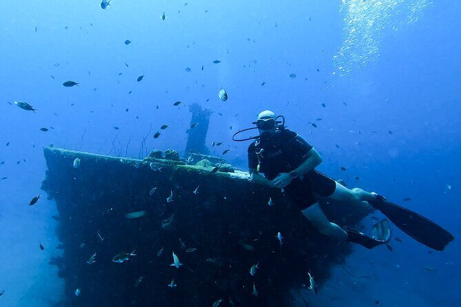 2 guided shore dives in Curacao - FAQ