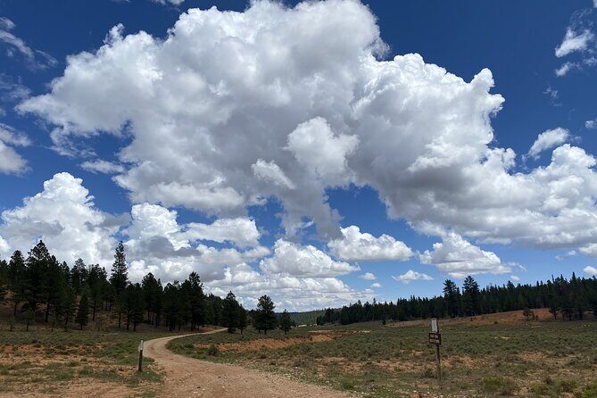 2-Hour, 4-seat ATV Rental next to Bryce National Park - Who Will Love This Experience?  
